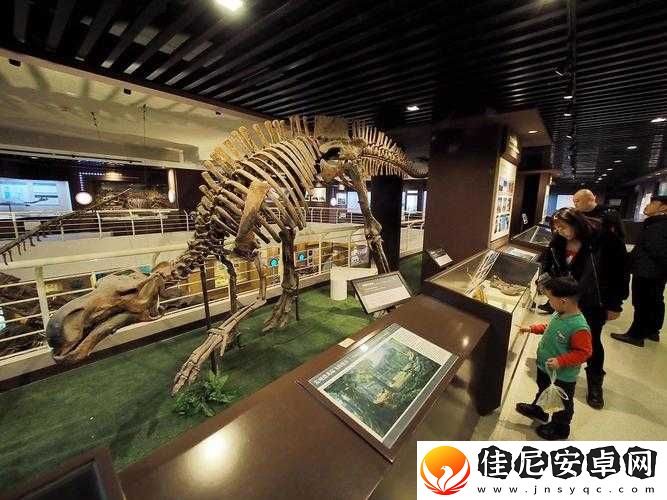 97-色视：视觉的奇妙之旅