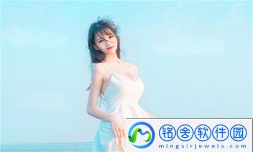四叶草M码和欧洲码的888区别：揭示暗藏细节与实用性分析