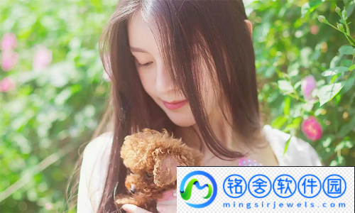 宋家日常3pH：笑料十足，这一家人太有梗！