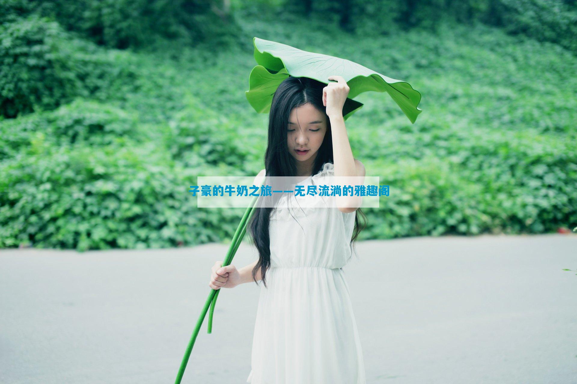 子豪的牛奶之旅——无尽流淌的雅趣阁