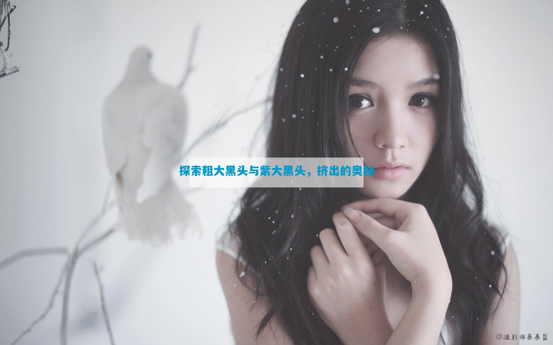 探索粗大黑头与紫大黑头，挤出的奥秘