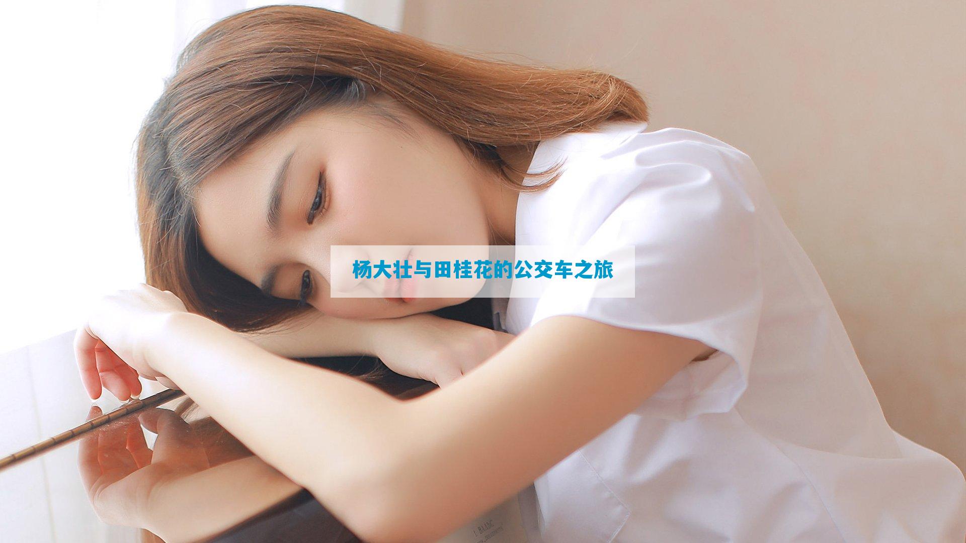 杨大壮与田桂花的公交车之旅