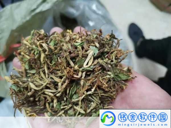 双管齐下TXL金银花怎么使用