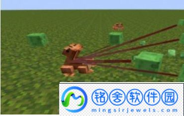 我的世界青蛙有什么用-我的世界青蛙用途介绍