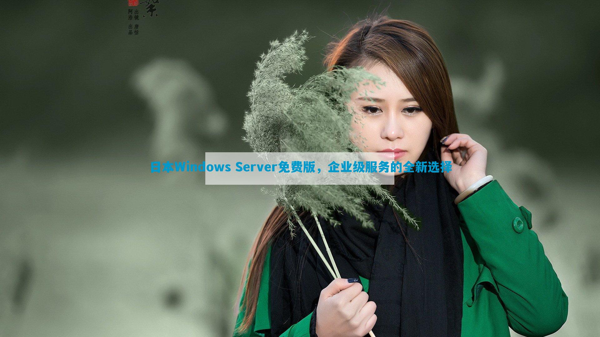 日本Windows Server免费版，企业级服务的全新选择