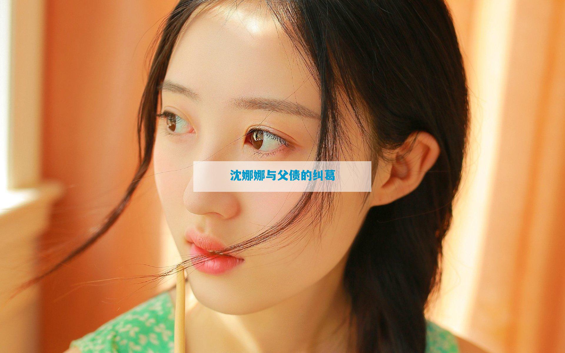 沈娜娜与父债的纠葛