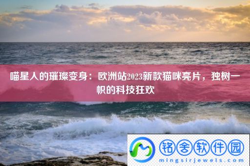 喵星人的璀璨变身：欧洲站2023新款猫咪亮片-独树一帜的科技狂欢