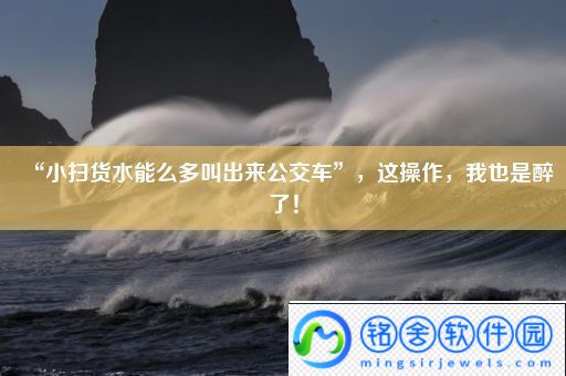 “小扫货水能么多叫出来公交车”-这操作-我也是醉了！