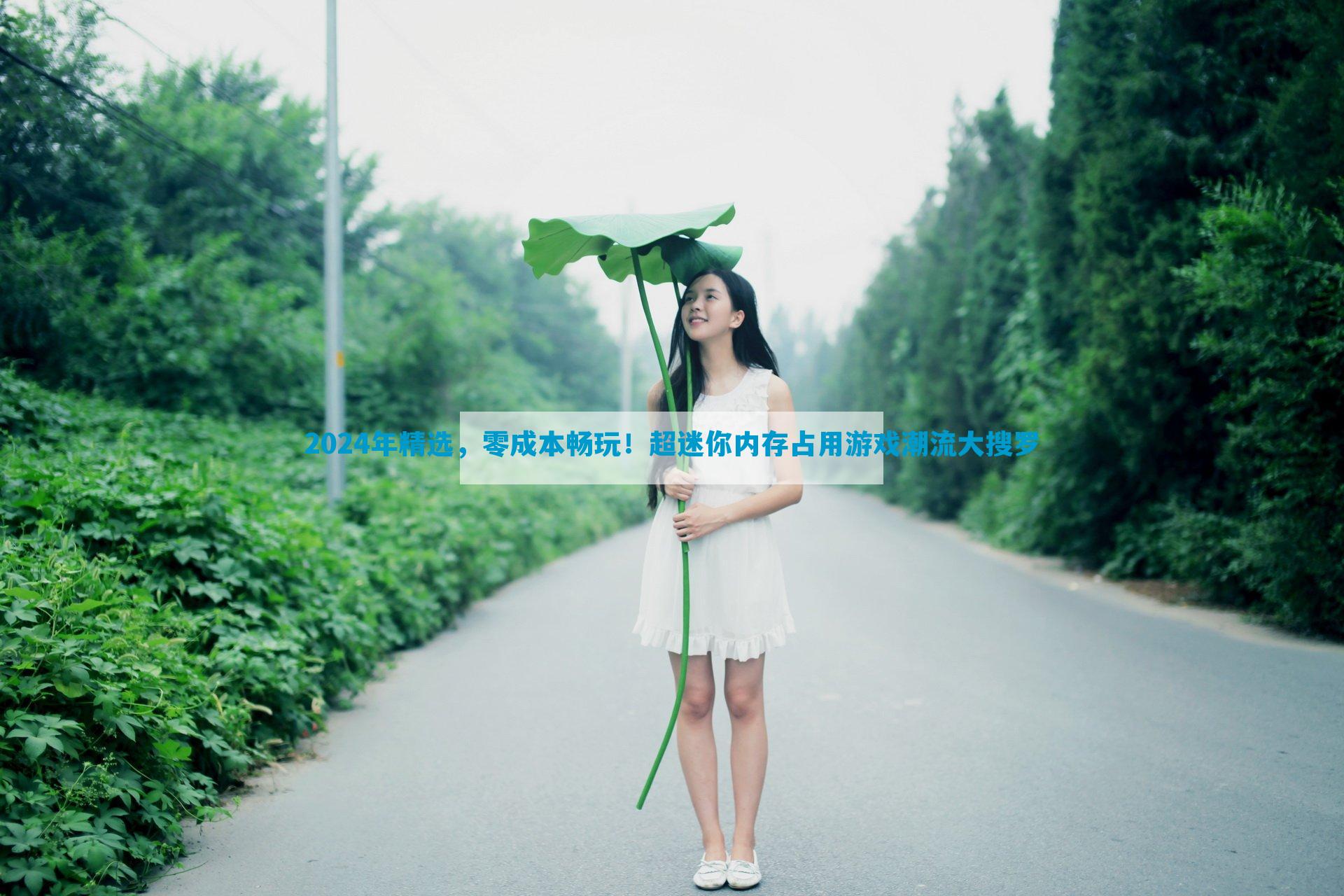2024年精选，零成本畅玩！超迷你内存占用游戏潮流大搜罗