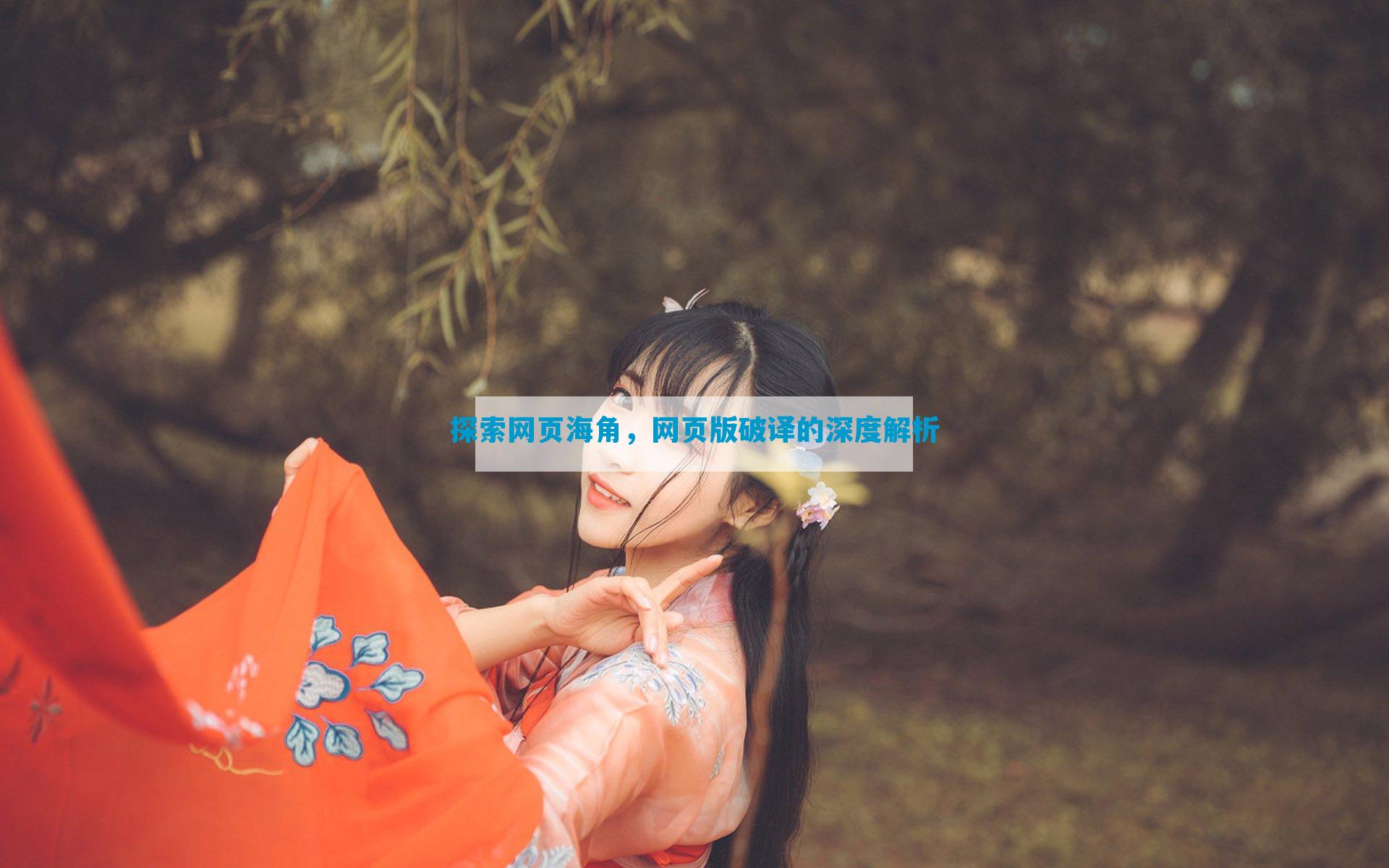 探索网页海角，网页版破译的深度解析