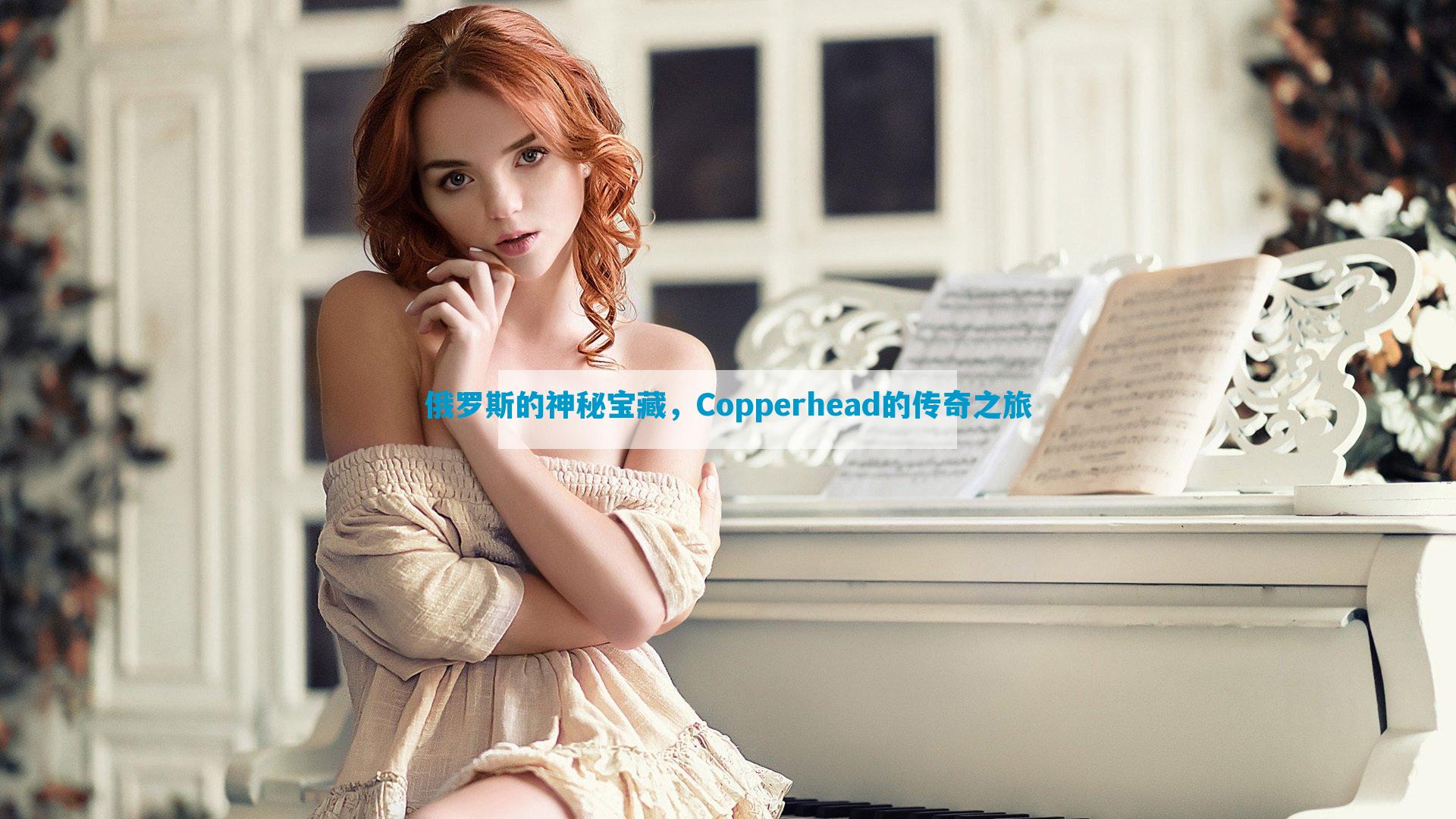 俄罗斯的神秘宝藏，Copperhead的传奇之旅