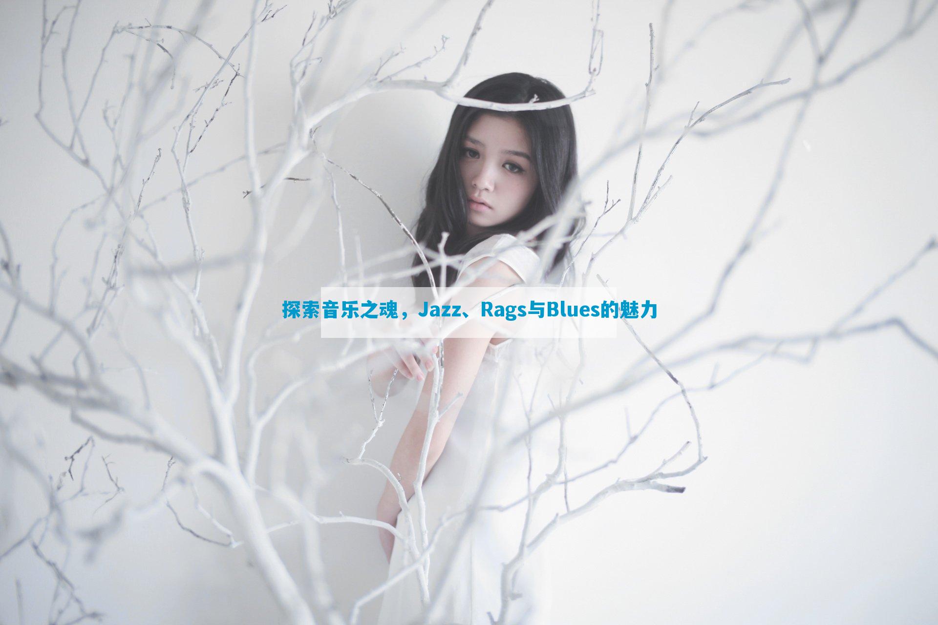 探索音乐之魂，Jazz、Rags与Blues的魅力