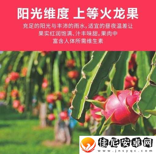 苏家有女-1v5-黄心火龙果：精彩故事待你开启