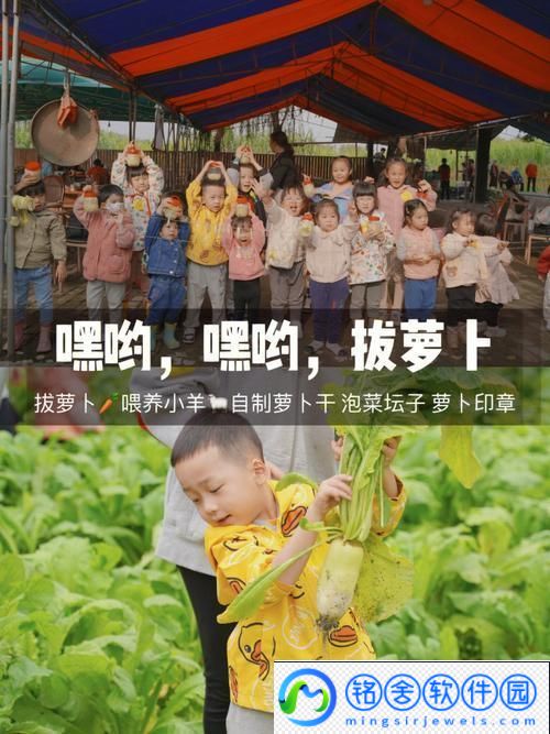 “挤牛奶拔萝卜”探秘：科技界的搞笑逆袭
