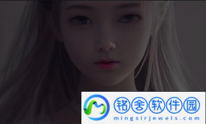 三叶草M码与欧洲码的转换指南：如何根据尺码选择合适的鞋子