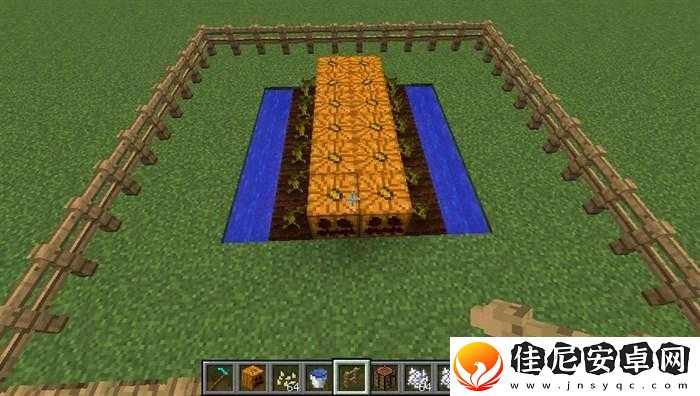 我的世界南瓜种植全攻略：南瓜种植方法与效用解析