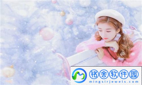 女保险公司推销员5中字：如何在竞争激烈的市场中脱颖而出
