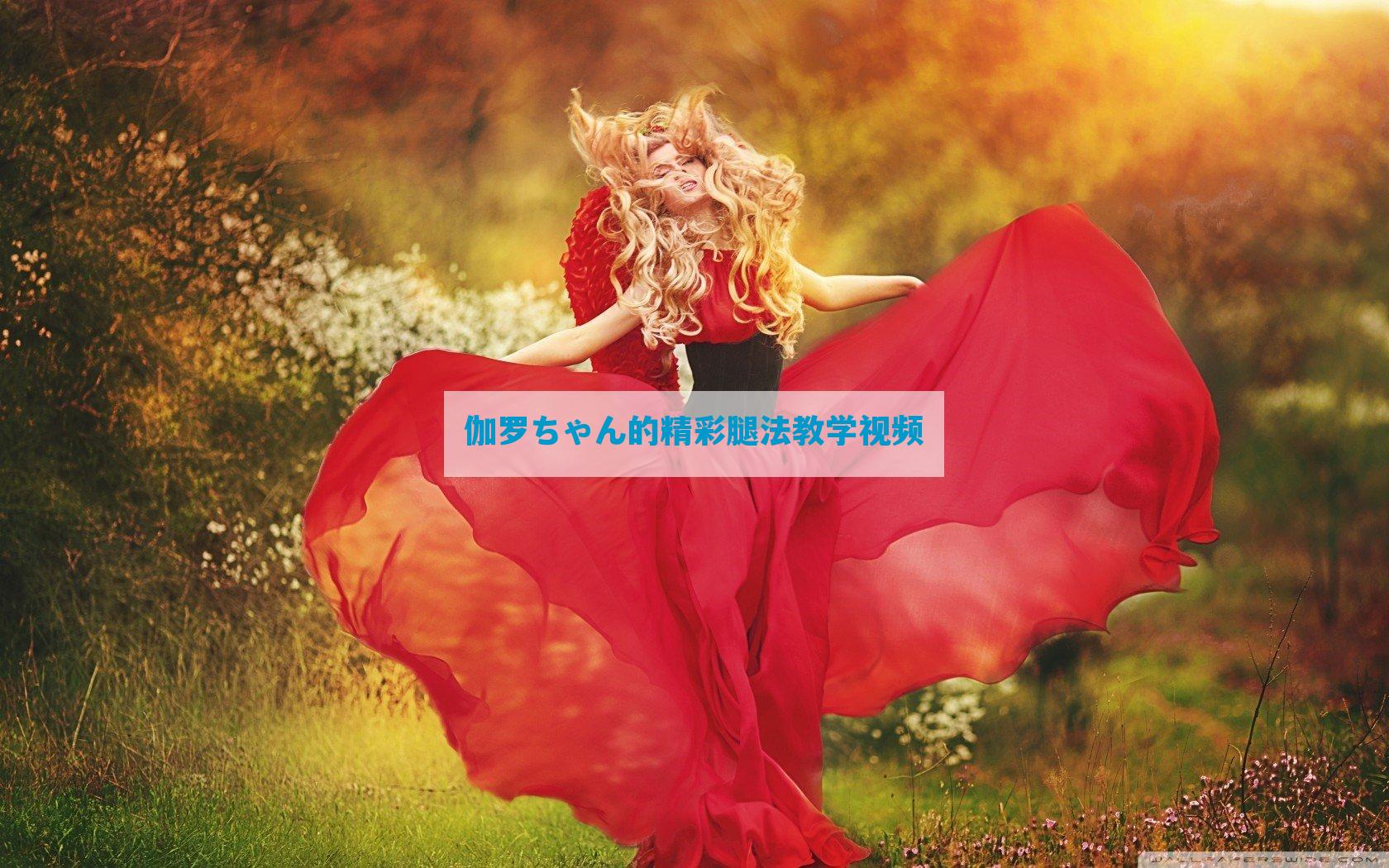 伽罗ちゃん的精彩腿法教学视频
