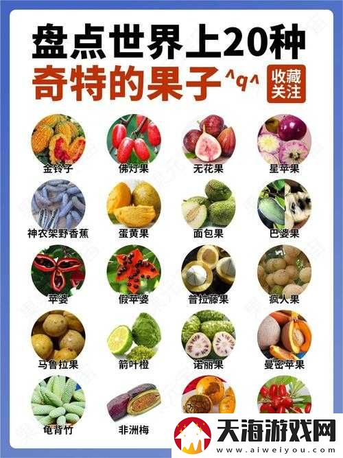 全民参与：特殊水果大赏-奇效水果功能与魅力总汇