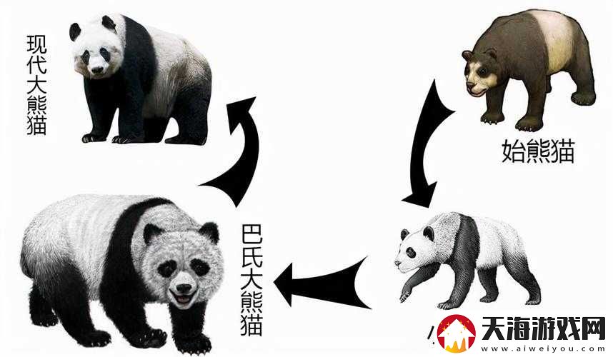 揭秘隐藏真相：寻找神秘熊猫的秘密攻略——穿越自然之谜境