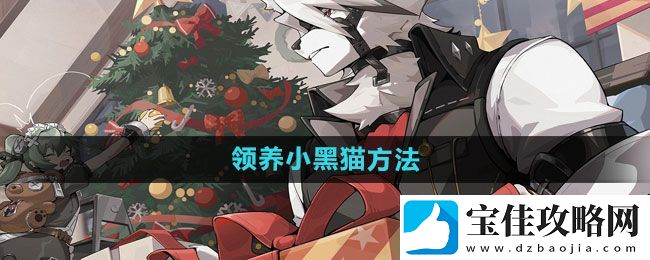 绝区零怎么领养小黑猫：副本挑战高效队伍