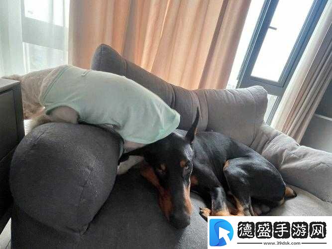 坐着轮流提双腿能起到什么效：好处多多