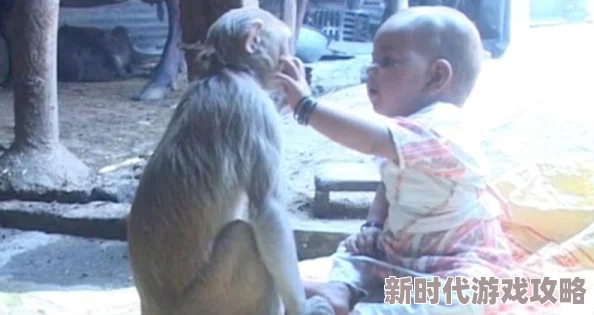 两个人生猴子的场景＂曝光！内幕揭秘：他们竟然是同一家族长出来的