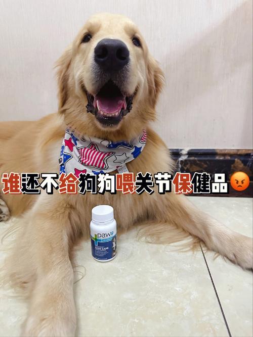 新揭秘“狗和人胶配方20分钟”的独特制作技巧