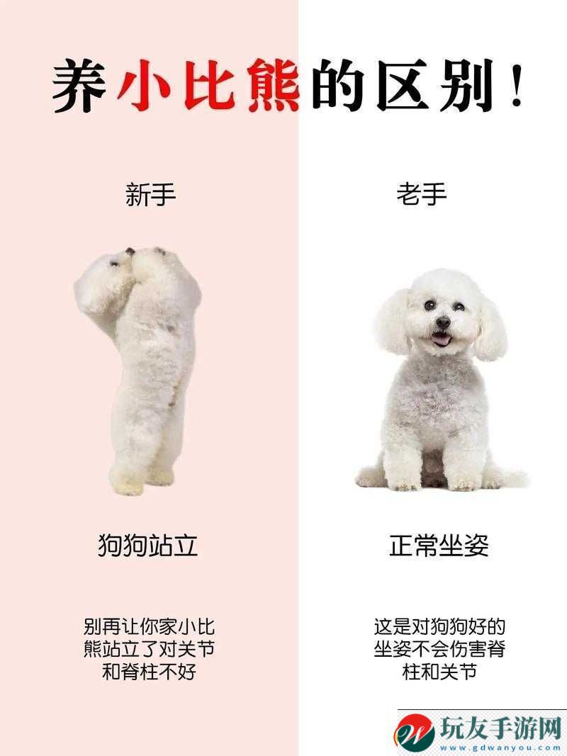影之刃-2-从-0-到-75-级快速升级秘籍-新手老手必看指南