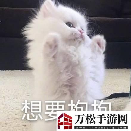 欲火焚身-全球狂欢下的科技狂想曲