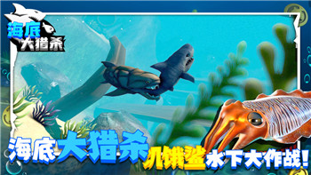 艾尔登法环Steam版本引发全球玩家热潮，如何从PC端畅享这款史诗级作品
