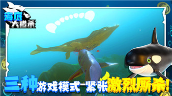 刺客信条奥德赛如何获得马匹装备的样式及其提升骑乘体验的详细指南