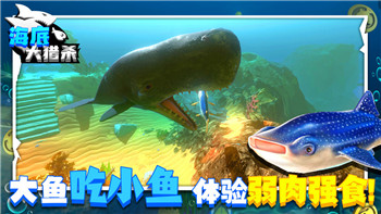火炬之光online的全新玩法揭秘，探索不容错过的冒险与挑战
