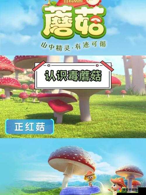 蘑菇mogu官方网站：探索精彩世界的优质平台
