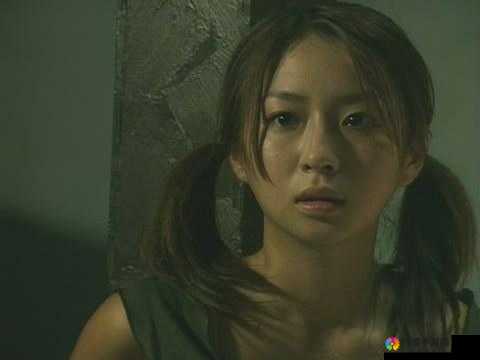 XXXx18～20 学生 HD：求知路上的青春探索者