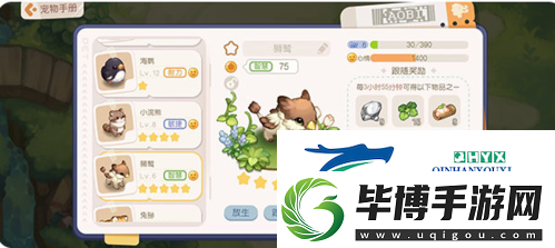 奥比岛手游宠物怎么养成