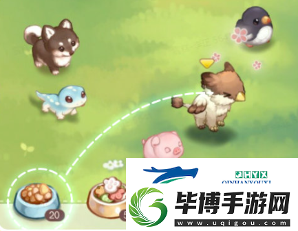 奥比岛手游宠物怎么养成