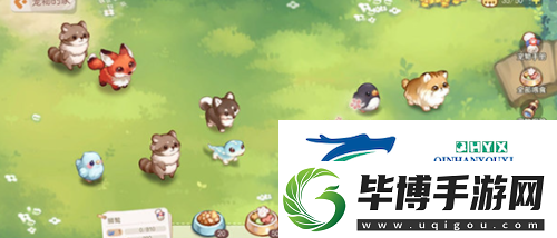 奥比岛手游宠物怎么养成