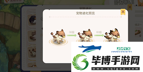 奥比岛手游宠物怎么养成