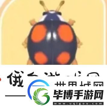 心动小镇四星瓢虫位置在哪