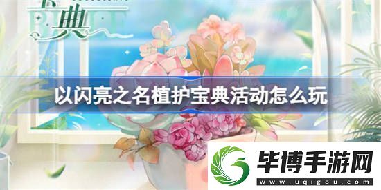 以闪亮之名植护宝典活动怎么玩：挑战智慧极限 