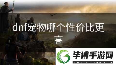 dnf宠物哪个性价比更高 