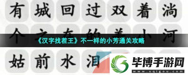 汉字找茬王梦龙版小芳怎么过-不一样的小芳通关攻略 